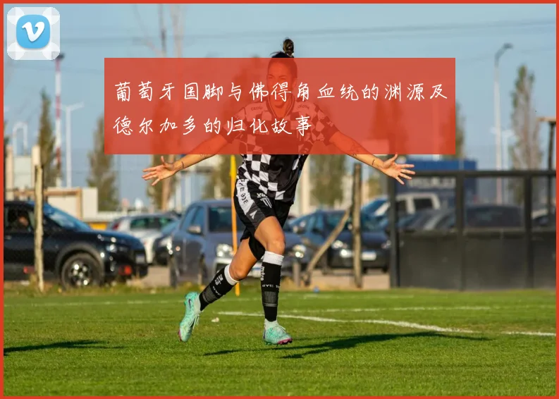 葡萄牙国脚与佛得角血统的渊源及德尔加多的归化故事